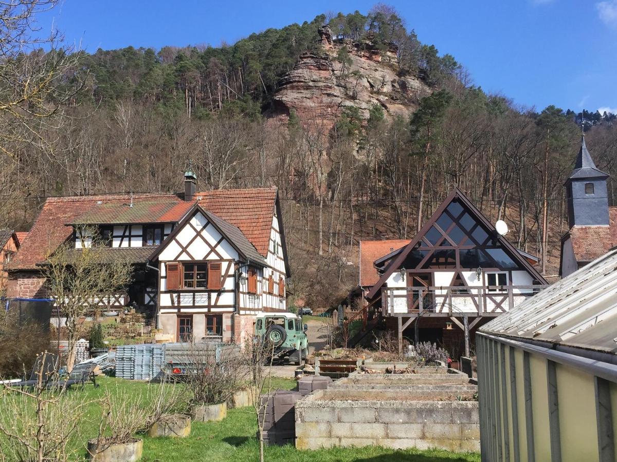 Gite Des Chateaux-Forts Obersteinbach Esterno foto